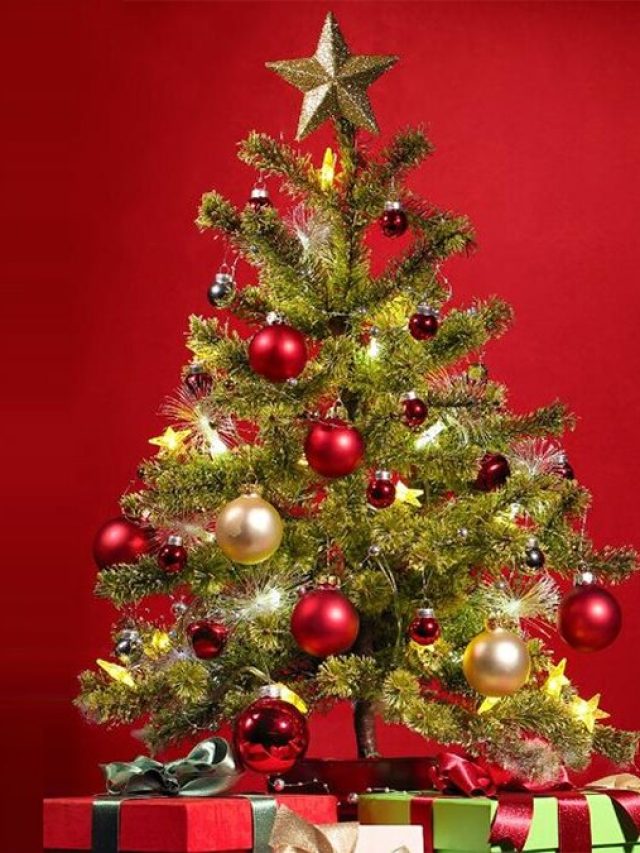 ক্রিসমাস ট্রি এভাবে সাজালে দূর হবে বাস্তু দোষ! বড়দিনের আগে জানুন