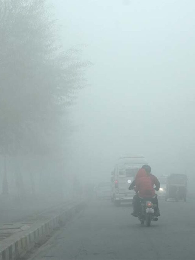 पहाड़ों पर बर्फबारी से उत्तर भारत में बढ़ी शीतलहर! वीडियो में देखें सर्दी का सितम