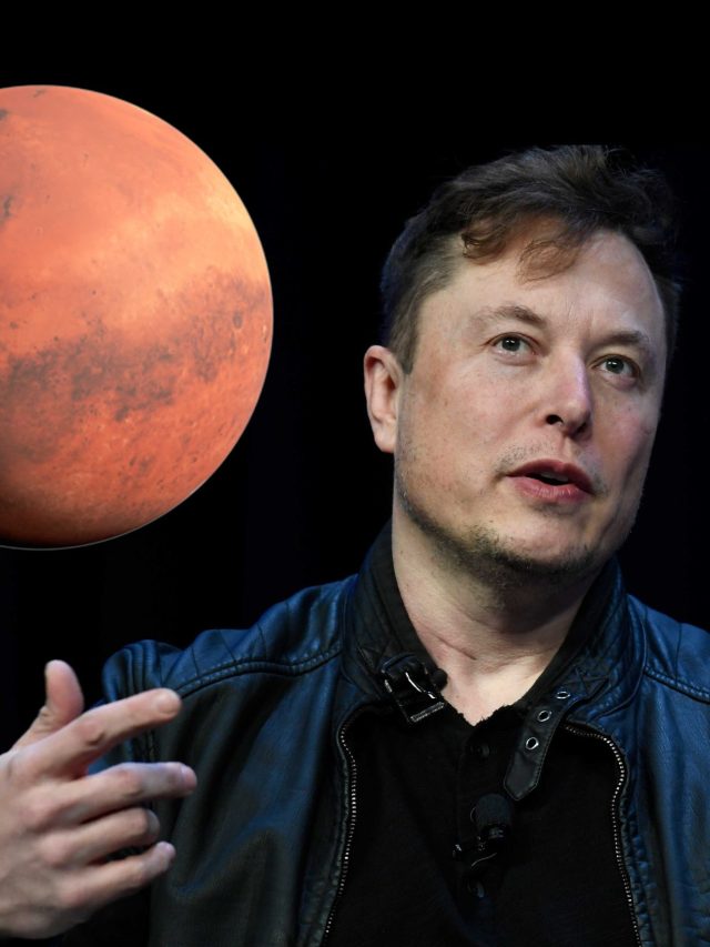 'Direct democracy on Mars': Elon Musk gives Martians the reins in $1,000 trn dream