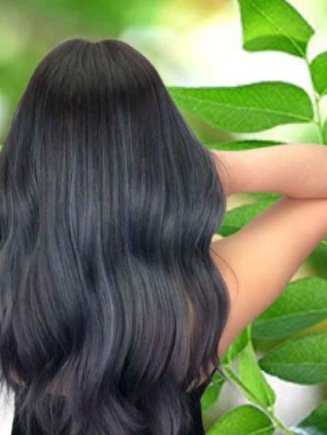 এই শীতে একটা চুলও পড়বে না, এভাবে মাথায় লাগান কারি পাতা