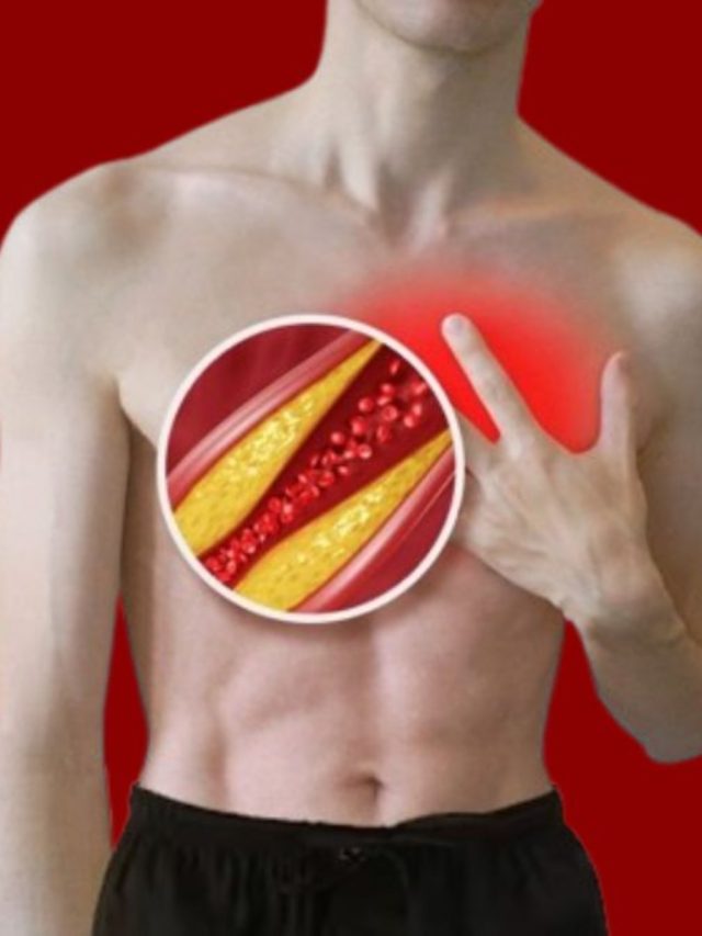 আয়ুর্বেদের এই ৫ উপাদানে কাবু কোলেস্টেরল, বাঁচায়  হৃদরোগীদের জীবন