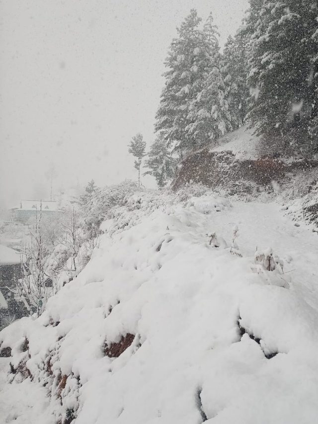 'Winter  Wonderland' बना हिमाचल का शिमला, देखें ताजा बर्फबारी का अद्भुत नज़ारा