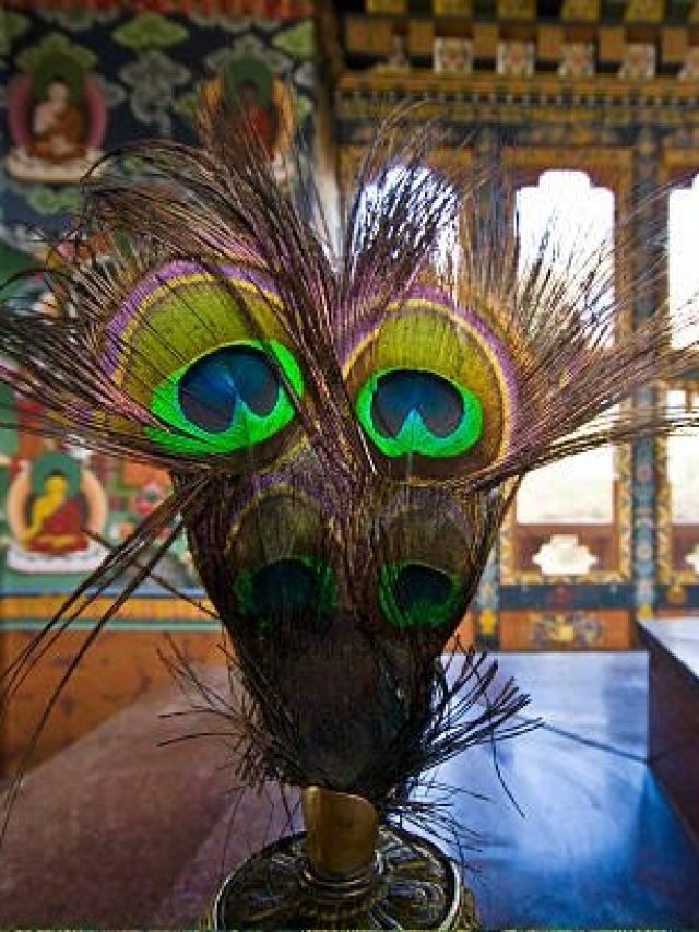 नए साल पर घर में रख दें ये 3 शुभ चीजें, आ जाएगा गोल्डन टाइम