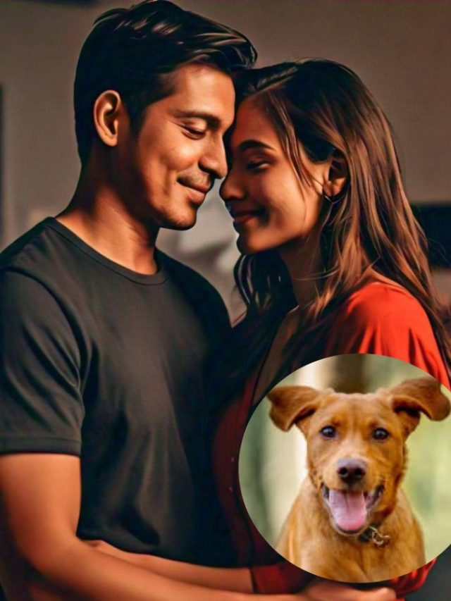 কুকুরের ৪ গুণ রপ্ত করলেই বাজিমাত, পাগলের মতো ভালবাসে মেয়েরা