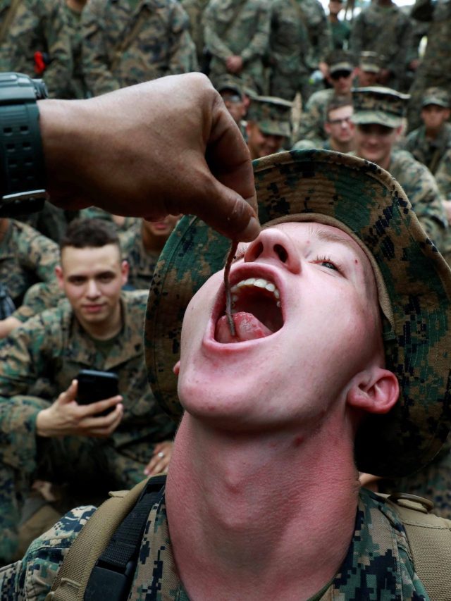 सांप का खून क्यों पीते हैं सैनिक? ट्रेनिंग में करवाया जाता है ये खतरनाक काम