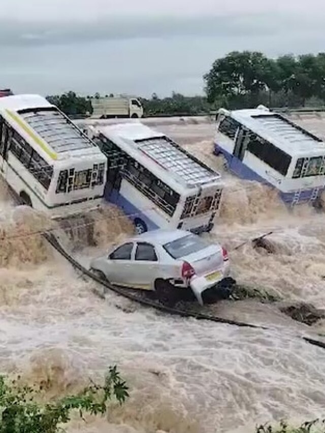 पुडुचेरी में भयंकर बारिश में बह गईं बसें, सड़क पर मछली मार रहे हैं लोग