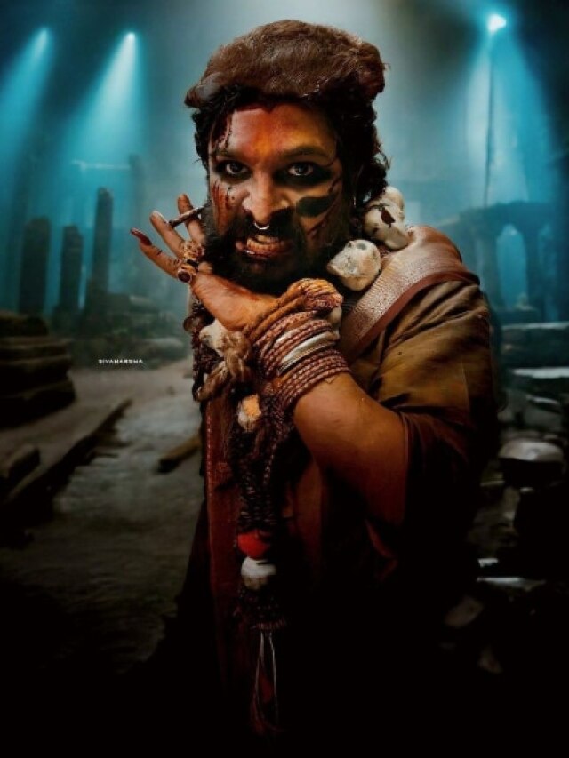 वल्गर गाना, महंगी टिकटें और भगदड़... गर्दा उड़ा रही 'पुष्पा', मगर खूब बवाल भी मचाया