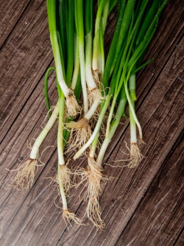 बिना मिट्टी के घर में उगाएं हरी प्याज, बेहद आसान है तरीका
