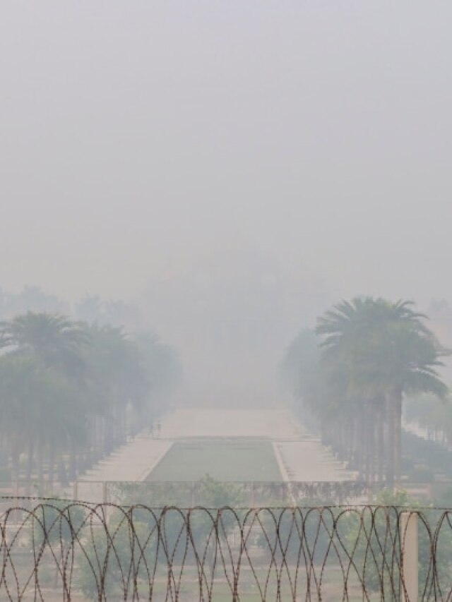 दिल्ली में छाया घना कोहरा, प्रदूषण की लेयर और शीतलहर, देखें अलग-अलग इलाकों का हाल