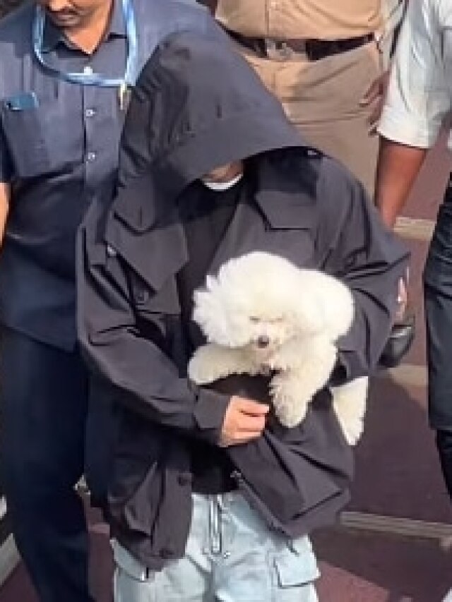 SRK ने हुडी से ढका चेहरा, गोद में पेट डॉग को दुलारते दिखे, VIDEO हुआ वायरल