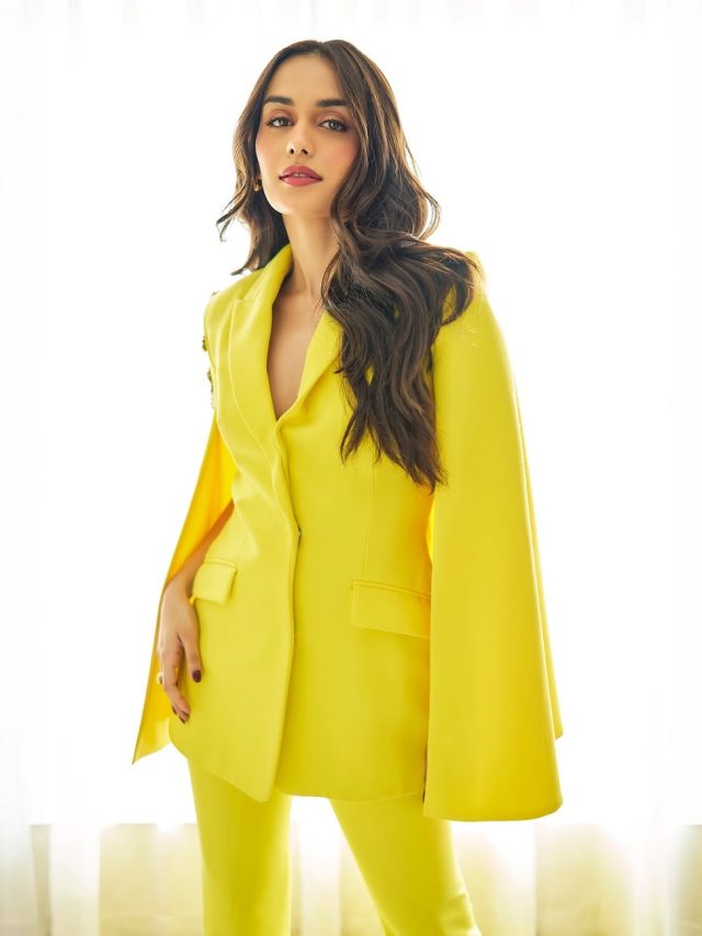 कब करोगी शादी? मानुषी से फैन ने पूछा, बोलीं- नानी आप यहां भी...