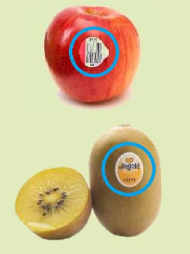 ফলের গায়ে লাগানো স্টিকারের মানে কী? কেনার আগে না জানলেই বিপদ