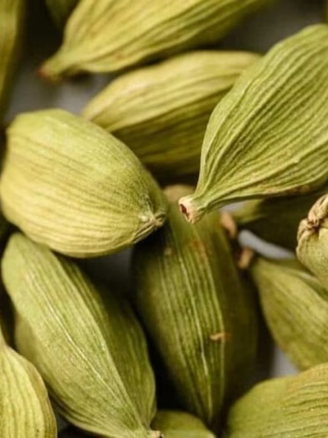 ১টা এলাচ ফেলে দিন পকেটে,  সবকিছু উপচে পড়বে