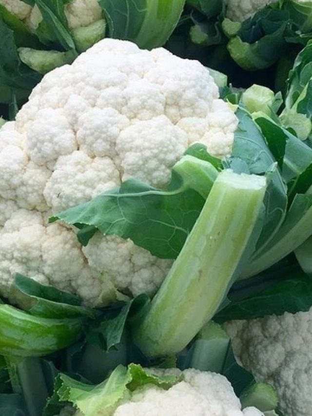 গোল গোল ফুলকপি হবে ঘরের টবেই, শুধু লাগবে এই সার