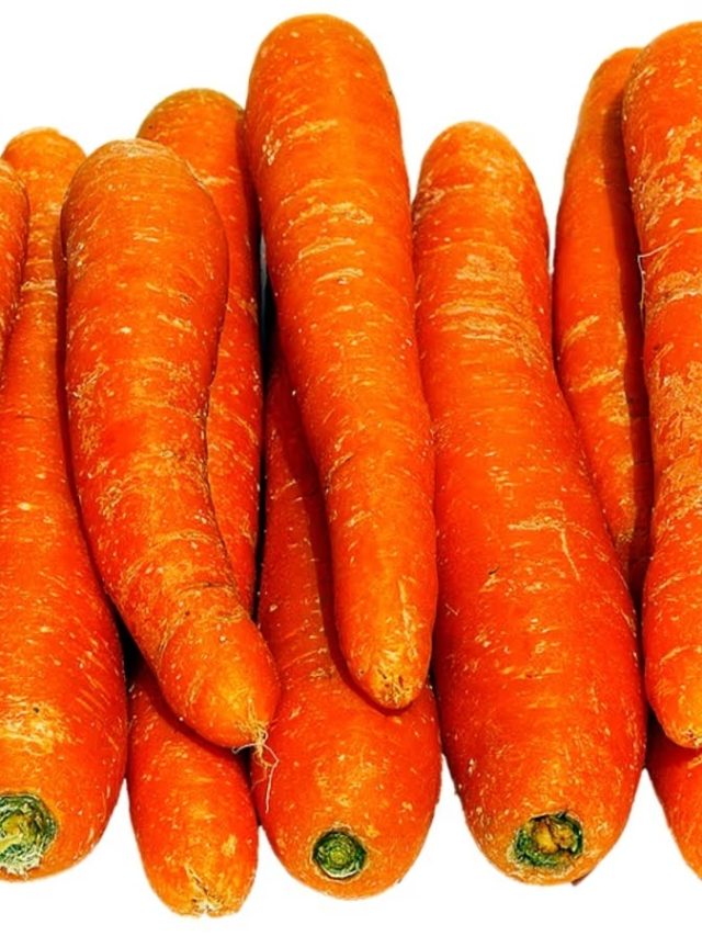 গাজর কিন্তু বিষ এঁদের জন্য, খেলেই ভুগবেন