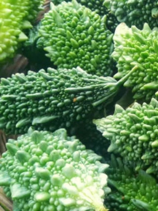 এভাবে উচ্ছে রাঁধলে একটুও তেতো হয় না; বাচ্চারাও গোগ্রাসে খাবে