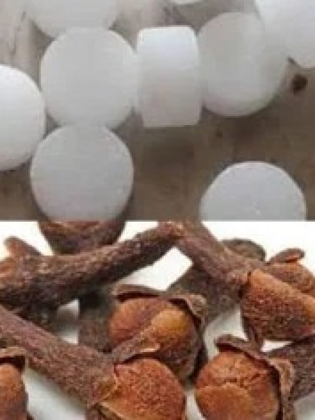 রোজ রাতে লাগবে লবঙ্গ আর কর্পূর, তাতেই ভাগ্য বদল, শুধুই সুখ