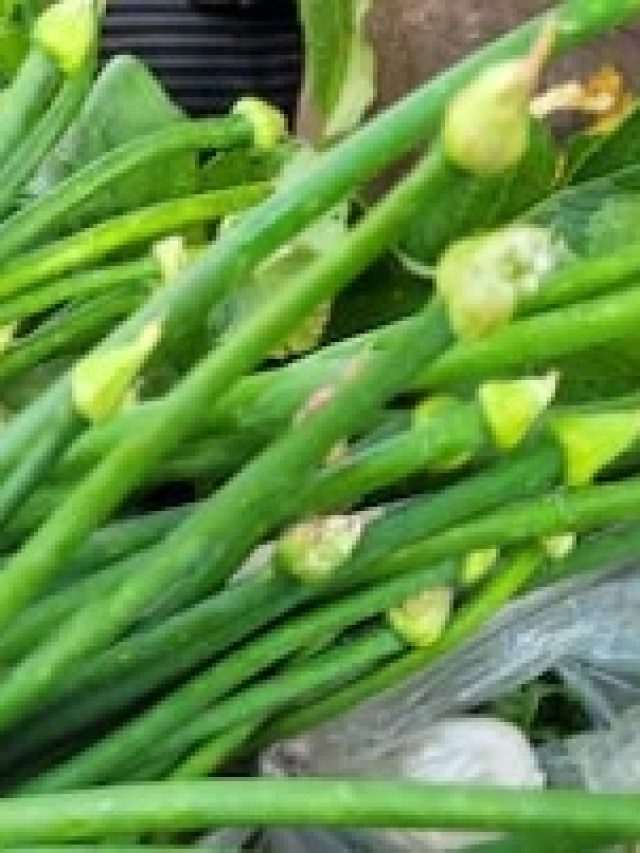 রোজ পেঁয়াজকলি খাওয়া কি ভাল? না জানলেই বিপদ