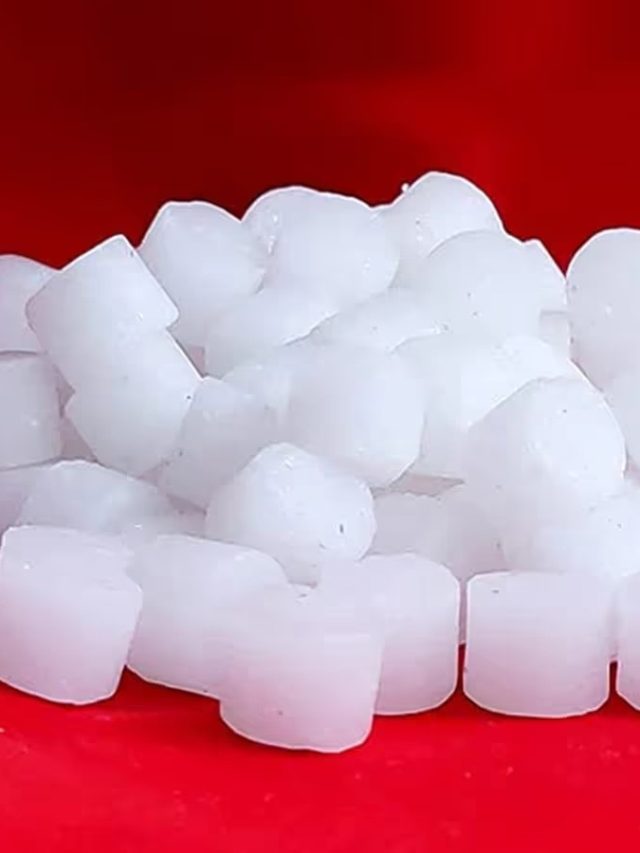 ১ টুকরো কর্পূর লাগবে শুধু, ব্যস, উপচে পড়বে যৌবন