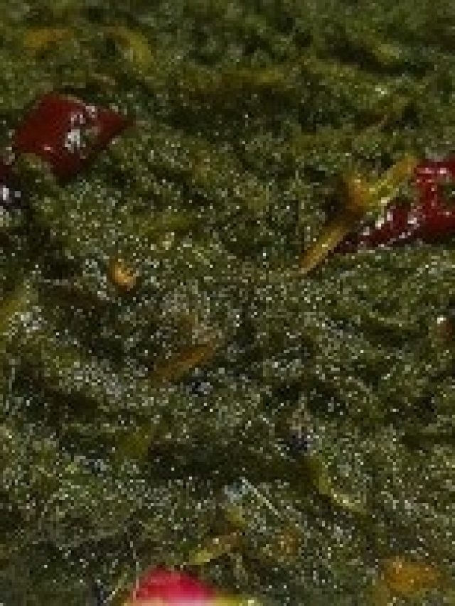 বুড়ো হলেও উদ্দাম যৌবন, পাতে রাখুন এই ভর্তা