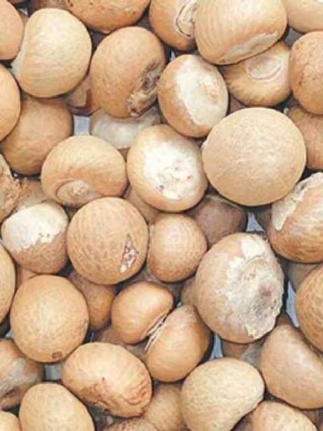 কাঁপিয়ে দেবেন পুরো, ১টা সুপারি শুধু রেখে দিন পকেটে