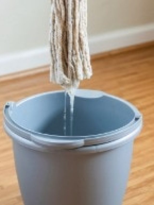 রান্নার এই মশলা ফেলে দিন ঘর মোছার জলে, তাতেই  সুখ-ধনলাভ