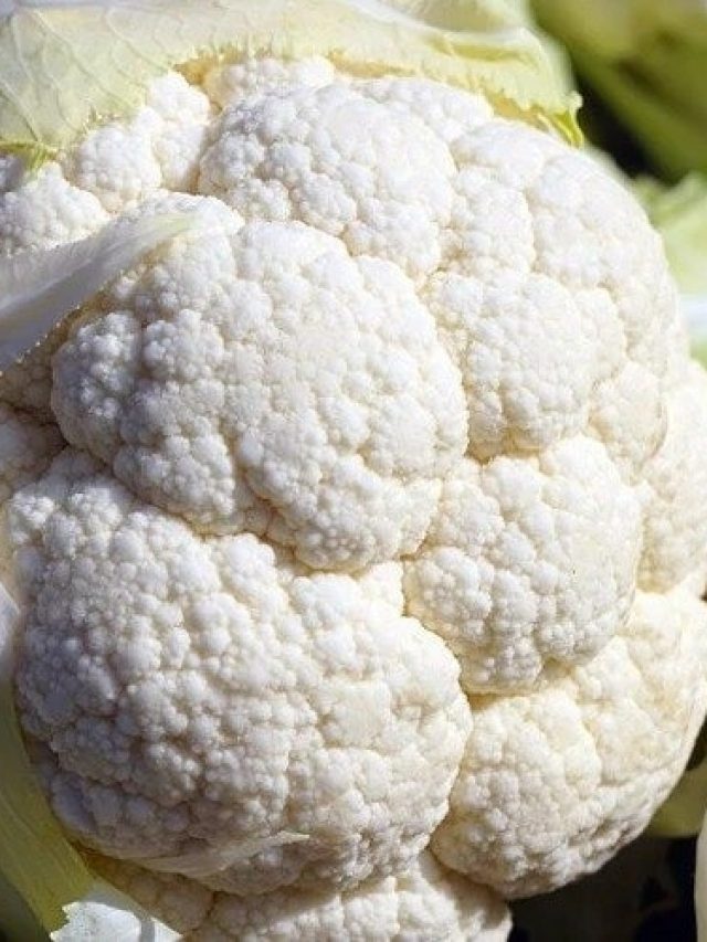 সারা বছর জলের দরে ফুলকপি খান, দাম নিয়ে ভাবতে হবে না