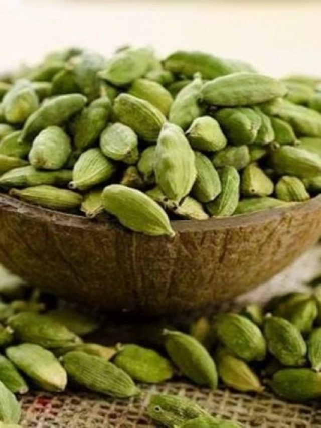 ১টা এলাচ ঢুকিয়ে দিন পকেটে, ব্যস, শুরু খেলা