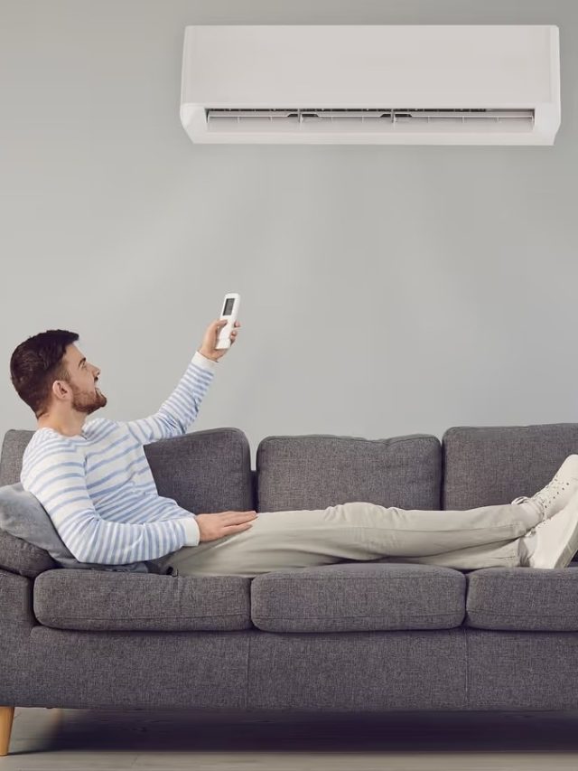 শীতেও ঘর থাকবে গরম রাখতে চালান AC, কীভাবে চালাবেন? রইল টিপস