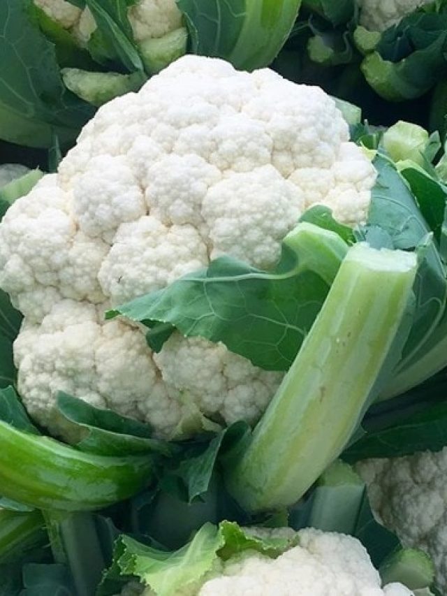 ফুলকপি খেলে আর গ্যাস-অম্বল হবে না, রান্না করুন এভাবে, জানুন পদ্ধতি