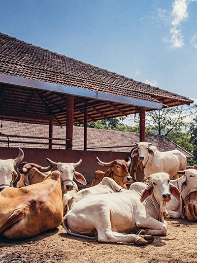 কথায় বলে 'হরি ঘোষের গোয়াল', জানেন এই হরি ঘোষ কে ছিলেন?