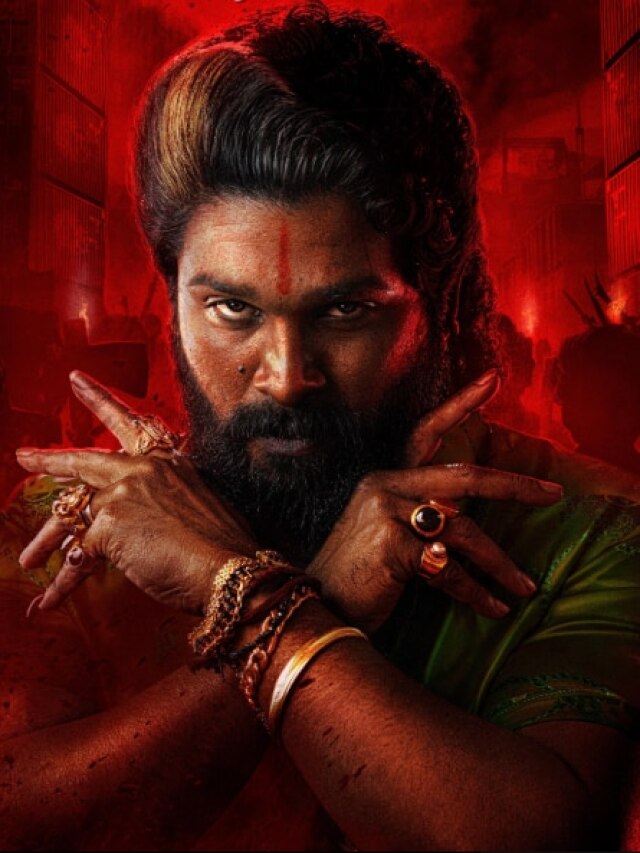 'वाइल्ड फायर' निकले अल्लू अर्जुन...'पुष्पा 2' के लिए चार्ज किए 300 करोड़?