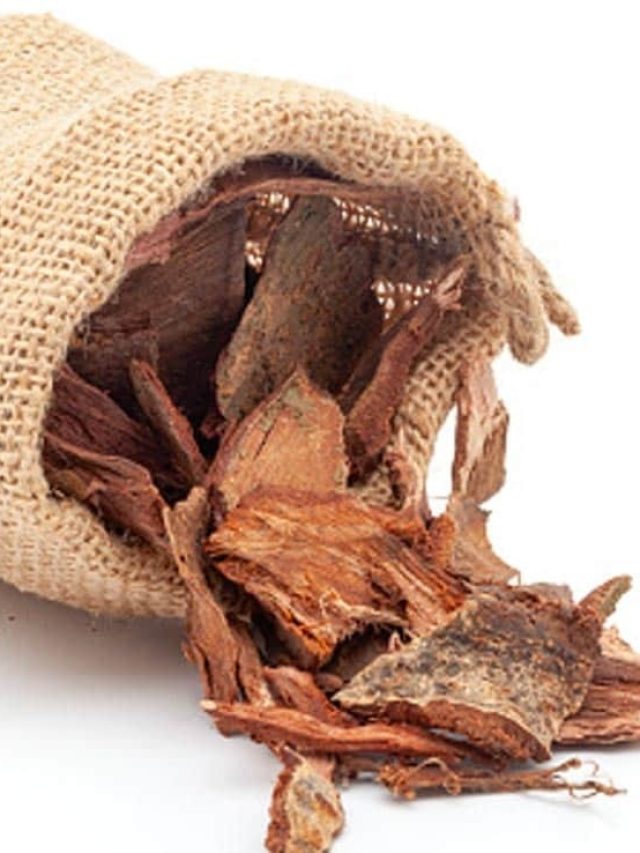 ১৫ টাকার এই জিনিস হার্টের ব্লকেজ সারাবে, প্রতিদিন এভাবে খান