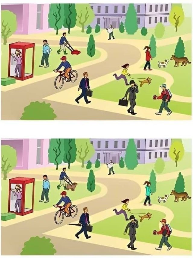 Quiz: तस्वीर में छिपे हैं 5 अंतर, 10 सेकंड में ढूंढकर बनें जीनियस