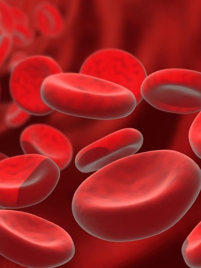 শরীরে রক্ত তৈরির মেশিন এই ৫ খাবার, খেলেই  বাড়বে কয়েকগুণ