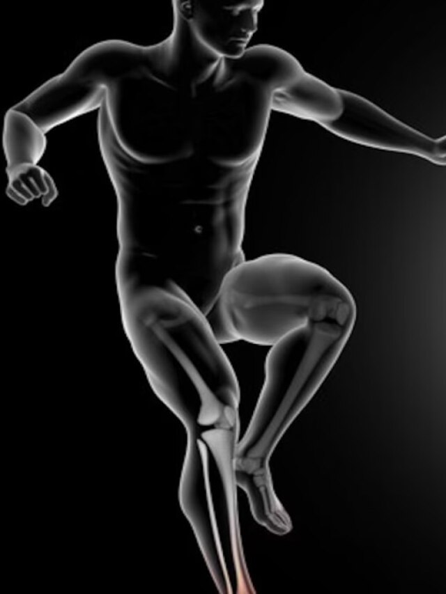 जवानी तो क्या बुढ़ापे में भी हड्डियां नहीं देंगी धोखा, डाइट में शामिल कर लें ये फूड्स