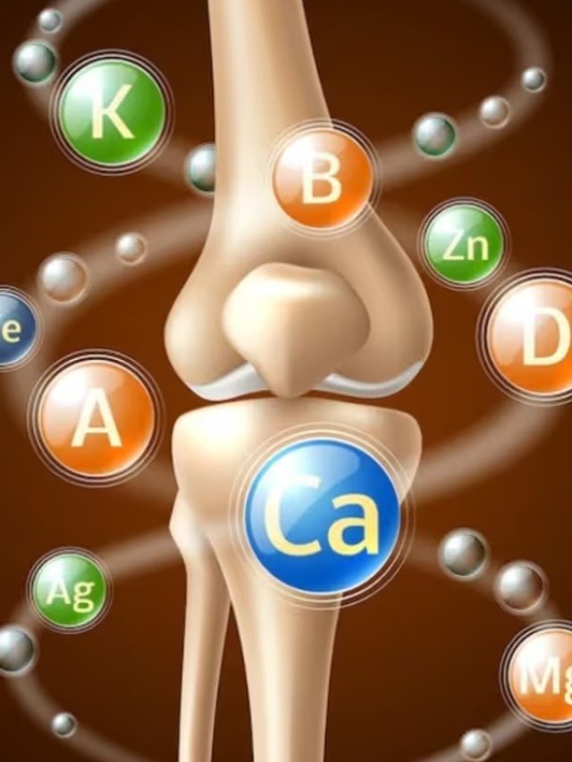 শরীরে ক্যালসিয়াম ঘাটটি দূর হবে, হাড়ের ব্যথা ভাগবে! এই ৫ সুপারফুডই যথেষ্ট