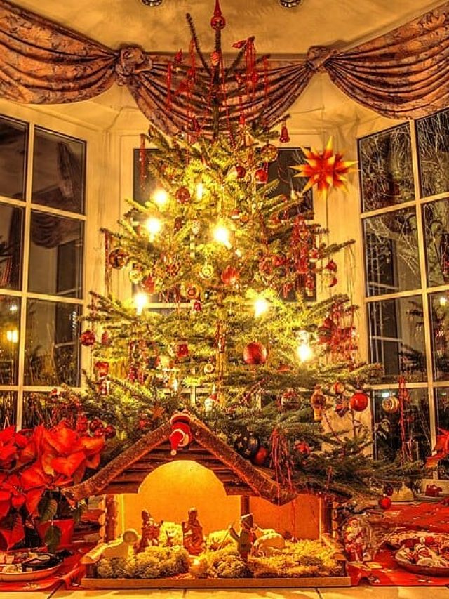 চলছে ডিসেম্বর, বাংলায় কী মাস এটা? শিক্ষিতরা তোতলাবেন