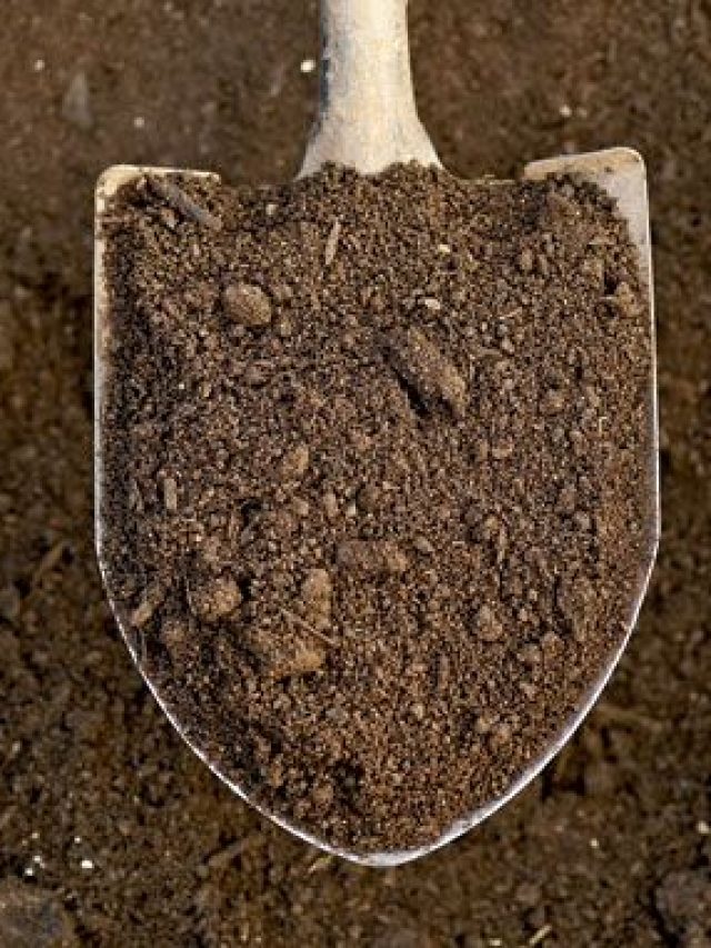 खेती करने वाले किसान 3 साल में जरूर कराएं मिट्टी की जांच, जानें सैंपल भेजने का तरीका