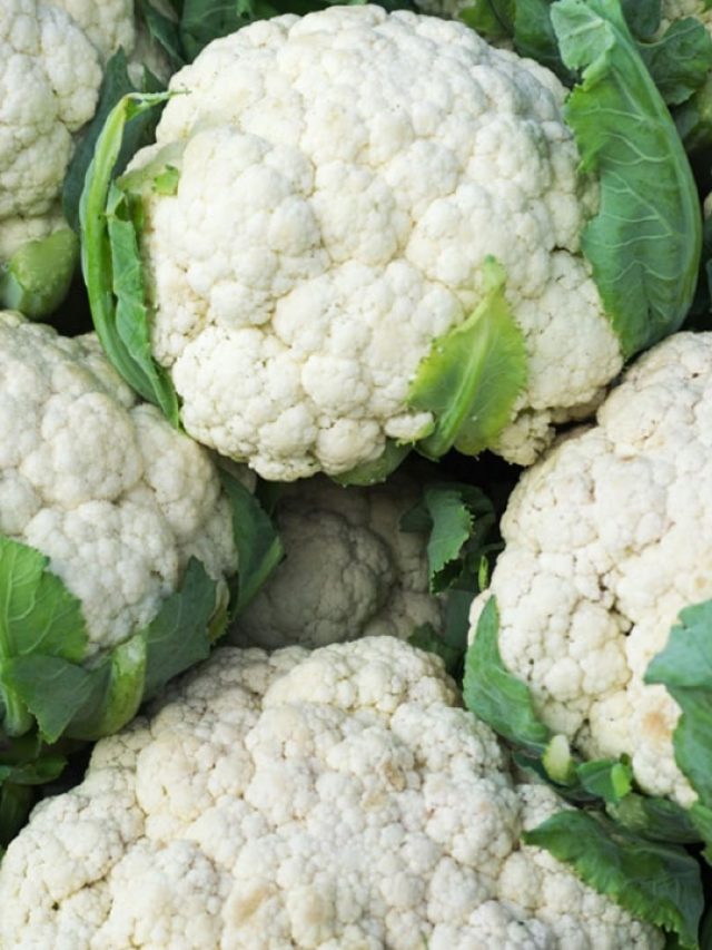 বাজারে ভাল ফুলকপি চিনবেন কী করে? মোক্ষম ৩ টিপস দিলেন চাষীভাই