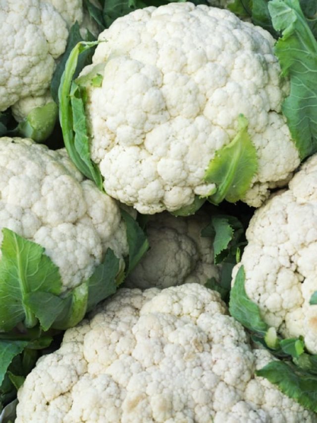 ফুলকপি খেলেই মরবেন, শীতকালে ভুলে যান এই সবজিকে