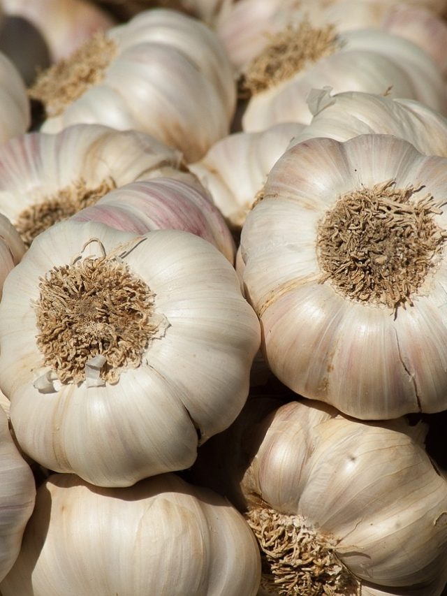 চিনা রসুন খাওয়া আর বিষ খাওয়া সমান, কীভাবে চিনবেন জেনে নিন