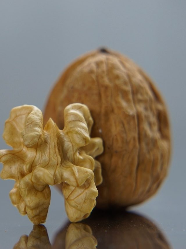 ये ड्राई फ्रूट खाने से लिवर रहेगा दुरुस्त, हड्डियां भी होंगी मजबूत