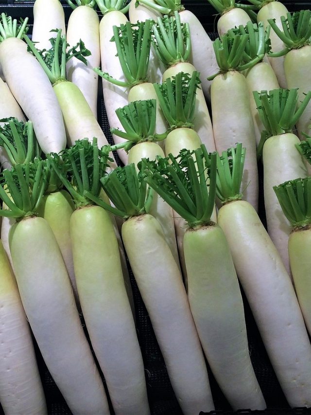 ভুল করেও এসব মানুষেরা মুলো খাবেন না, বললেন ডায়েটিশিয়ান