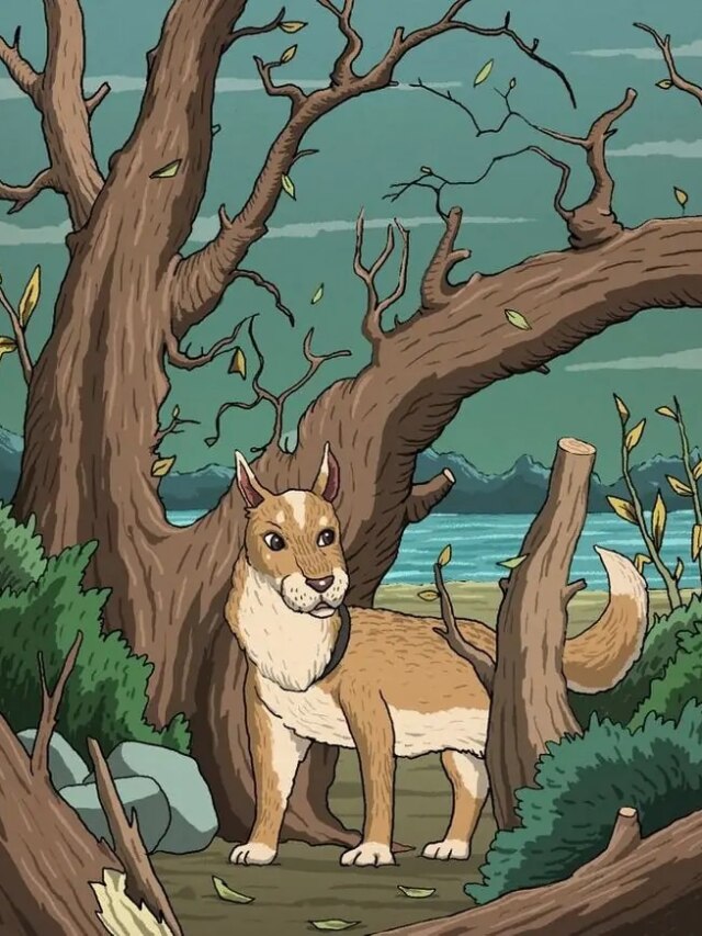 Image Quiz: तस्वीर में छिपी है एक बिल्ली, क्या 5 सेकंड में ढूंढ पाएंगे आप?