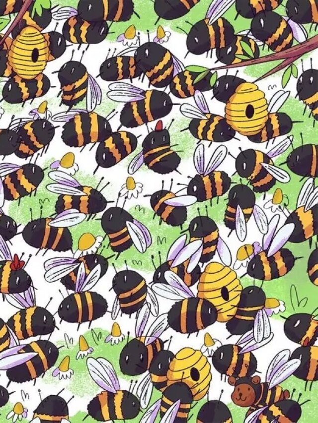 मधुमक्खियों के बीच में छिपा है एक भालू, 8 सेकंड में खोजने का चैलेंज करें ट्राई