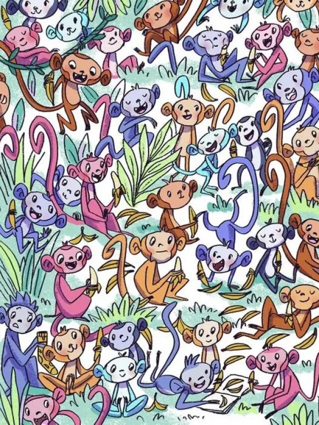 तस्वीर में छिपा है एक मोजा, 7 सेकंड में खोजने वाला कहलाएगा जीनियस