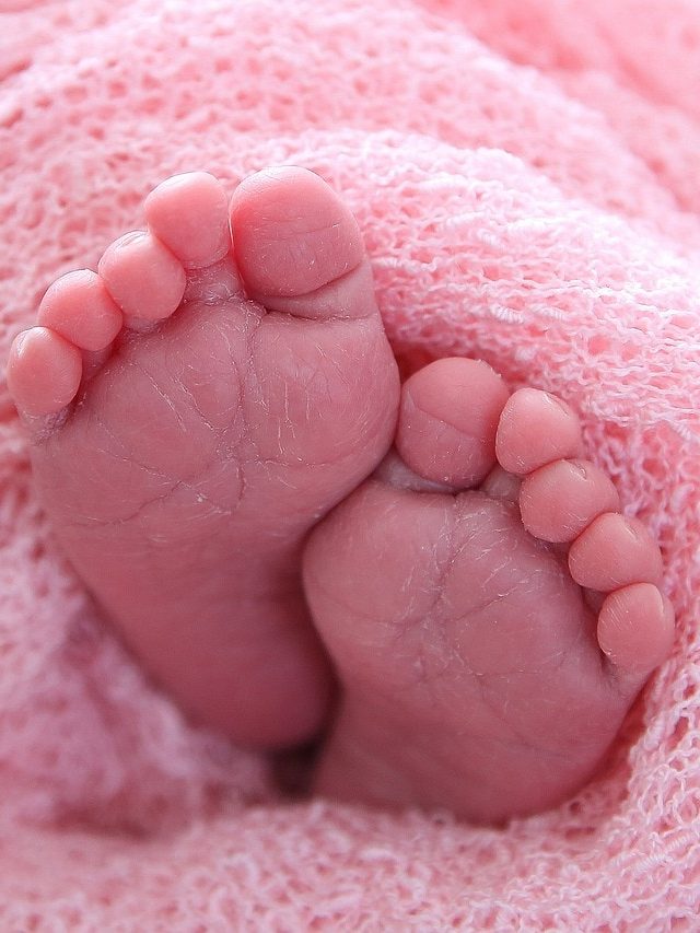 ২০২৫-র ১ জানুয়ারি থেকে শুরু নতুন প্রজন্ম! এই জেনারেশনের নাম জানেন?