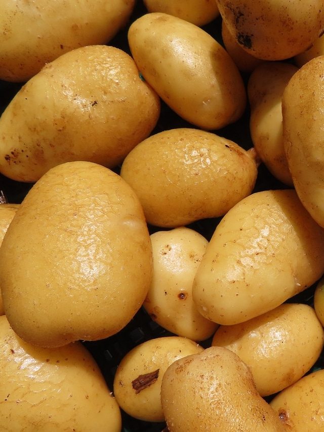 বঁটি বা পিলার লাগবে না, খুব সহজে এভাবে ছাড়ান আলুর খোসা