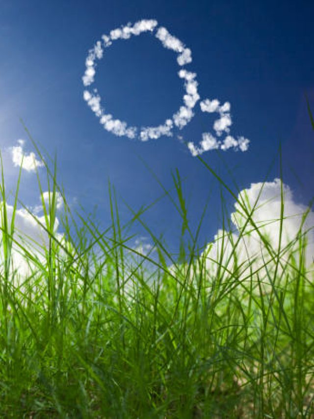 গাছপালা নয়, পৃথিবীর বেশিরভাগ অক্সিজেন আসে এই জায়গা থেকে